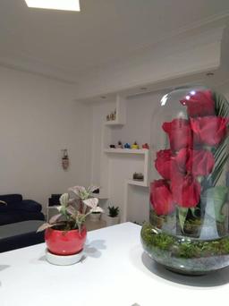 تصویر گالری سیده فرناز محمدنژاد 2