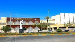 تصویر گالری فاطمه صداقتی 1