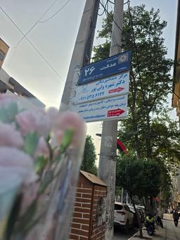 تصویر گالری شهره ولی پور 2