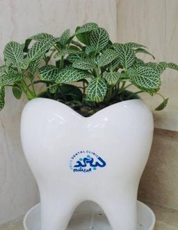 تصویر گالری ساناز رهنماحسن آبادی 1