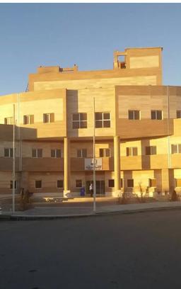 تصویر گالری مجتبی محمدی 1