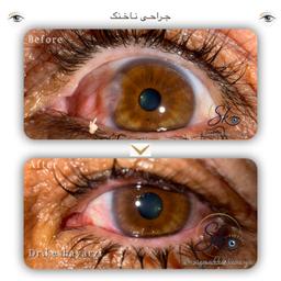 تصویر گالری سیامک کشاورزی 5