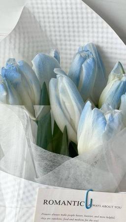 تصویر گالری ابراهیم محمودی 1