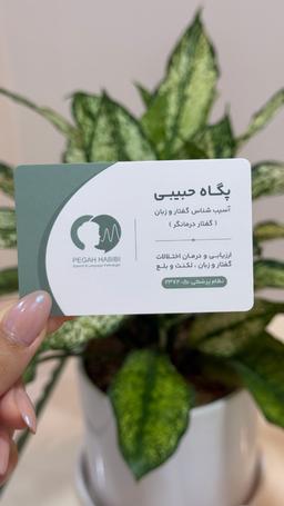 تصویر گالری پگاه حبیبی هاچه سو 1