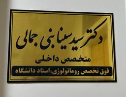 تصویر گالری سیدسینا بنی جمالی 1