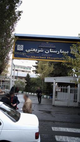 تصویر گالری هادی ناظمی هرندی 1