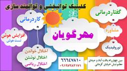 تصویر گالری مهسا پیکانی 1