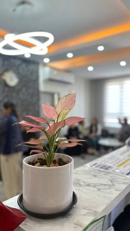 تصویر گالری علی جهرودی 2