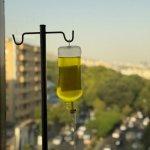 تصویر گالری سمیه سمیعی 1