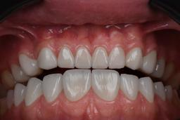تصویر گالری فاطمه فروزش 5