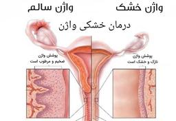 تصویر گالری امانی زاده 3