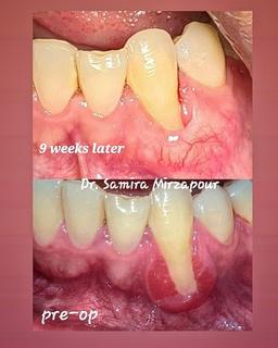 تصویر گالری سمیرا محمدمیرزاپور 5