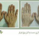 تصویر گالری الهه قاسمی طوسی 5