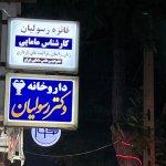 تصویر گالری فائزه رسولیان 3