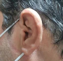 تصویر گالری فائزه مقصودی 5