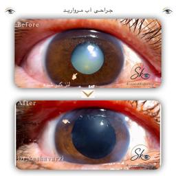 تصویر گالری سیامک کشاورزی 12