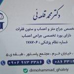 تصویر گالری محمد قلعه ئی 4