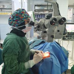 تصویر گالری سولماز ممتحن 1