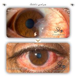 تصویر گالری سیامک کشاورزی 7