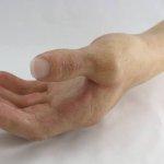 تصویر گالری علیرضا نوابی 2