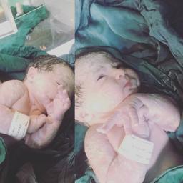 تصویر گالری سیده فاطمه موسوی 17