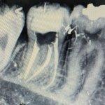 تصویر گالری فاطمه خدائی 10