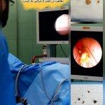 تصویر گالری جواد معاوی 14