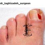 تصویر گالری محمدرضا تقی زاده 14