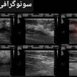 تصویر گالری نسرین امینی 27
