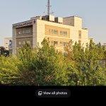 تصویر گالری نیلوفر نعمت الهی 3