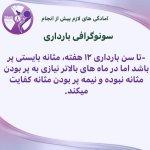 تصویر گالری آزاده علی دوستی شهرکی 15