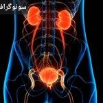 تصویر گالری نسرین امینی 14