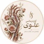 تصویر گالری زهرا علوی 3