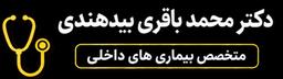 تصویر گالری محمد باقری بیدهندی 1