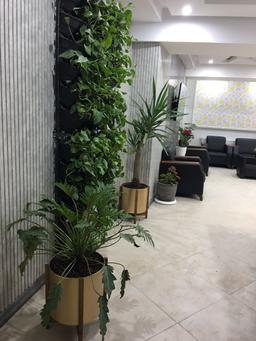 تصویر گالری آرزو نیاکان 1