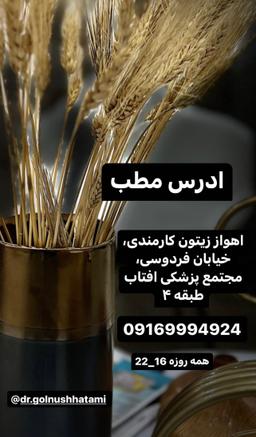 تصویر گالری گلنوش حاتمی 1
