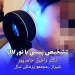 تصویر گالری راحیل حامدپور 7