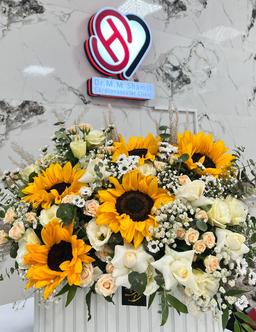 تصویر گالری محمدمهدی شمسی 1
