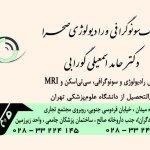 تصویر گالری حامد اسمعیلی گورابی 5