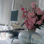 تصویر گالری فرین رجب زاده 2