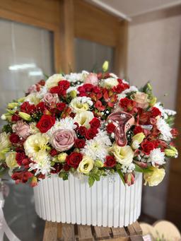 تصویر گالری ملیکا کاویان بلداجی 1