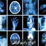 تصویر گالری نسرین امینی 19