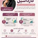 تصویر گالری سپیده اصغری 6