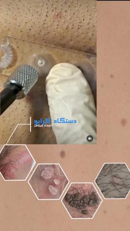 تصویر گالری حمیدرضا باغشاهی 6