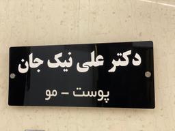 تصویر گالری علی نیک جان 2