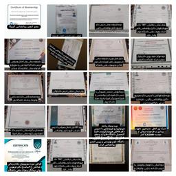 تصویر گالری محمدجواد زارع مهرجردی 5
