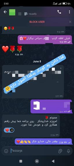 تصویر گالری ریحانه ولی زاده 26