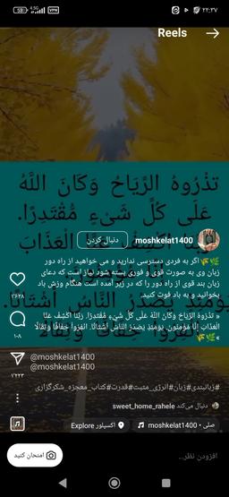 تصویر گالری اسمعیلی برنتی 1