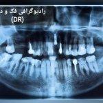 تصویر گالری نسرین امینی 18