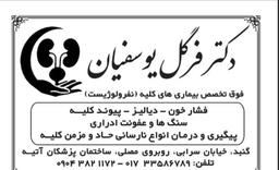تصویر گالری فرگل يوسفيان 4